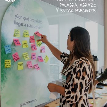 959ca493-0b98-4133-87ee-2109daeef3ea